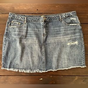 True Craft Denim Skirt